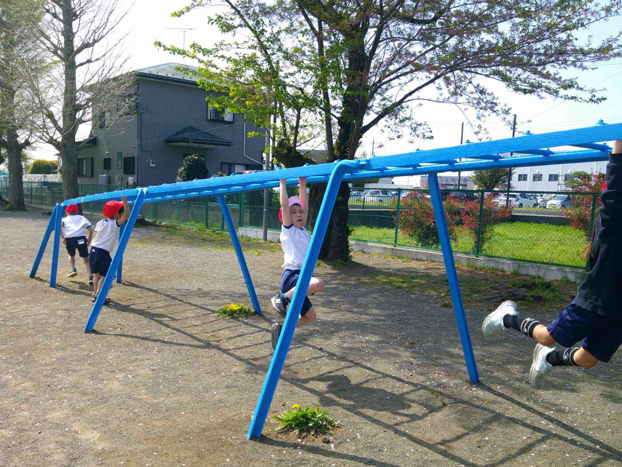 DSCF0147