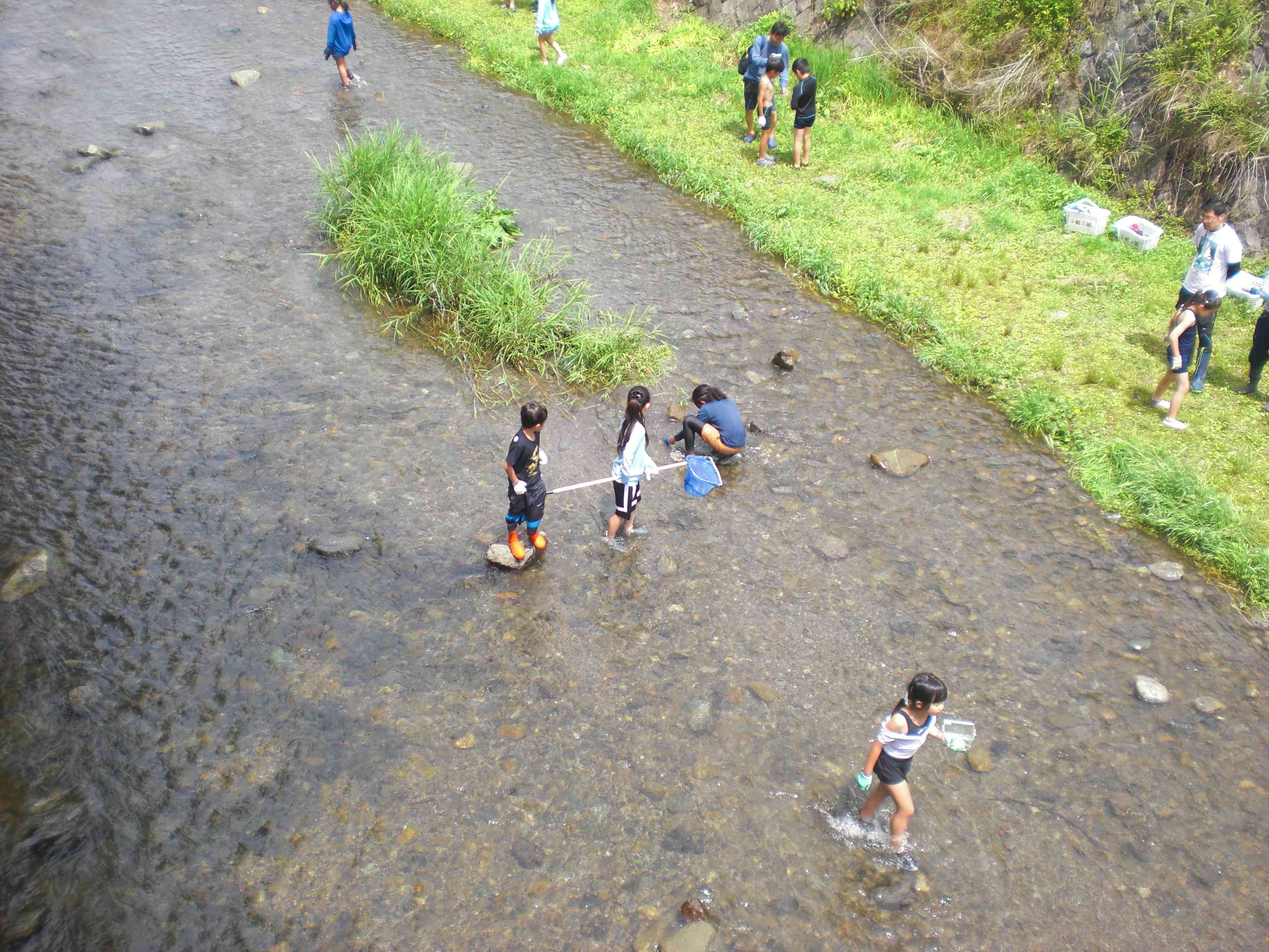 CIMG0774
